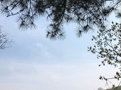 -龙寺生态园