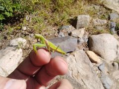 -碓臼峪自然风景区