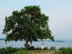 -池州市平天湖风景区