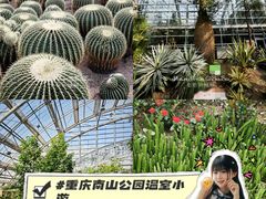 -南山植物园
