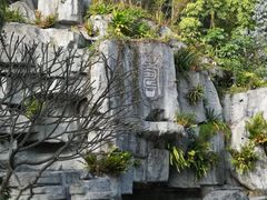 -小南山公园