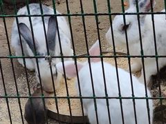 -羊亭河湿地公园