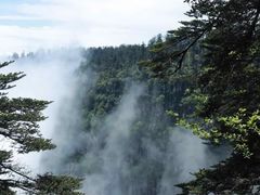 -瓦屋山景区