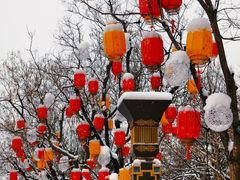 -龙湖星悦荟(颐和店)