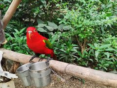 -南宫五洲植物乐园