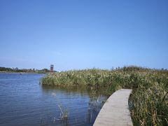 -春花秋色城市公园