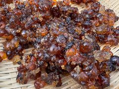 -老袁家蜜桃农场·阳山水蜜桃