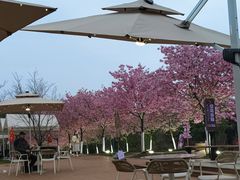 -凤凰沟景区