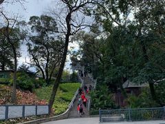 -广州市白云山风景名胜区