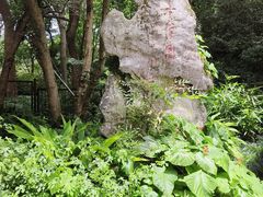 -杭州植物园