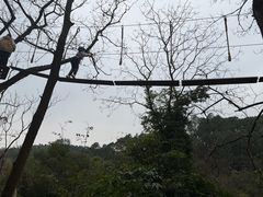 -芦仙山景区-飞越丛林探险乐园