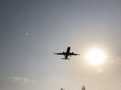 -空港花田景区