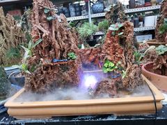 -秦美花卉(天朗·莱茵小城2期店)