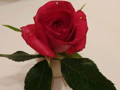 -谷语中餐厅