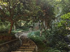 -黄埔油麻山森林公园