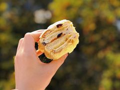 提子-木子木水日式烫面包(世界城光谷店)