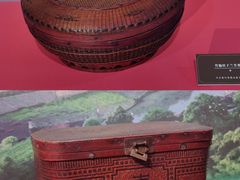 -浙江自然博物院(杭州馆)