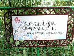 -树山生态村