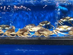 -七鲜超市(万向城店)