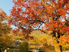 -塔川景区