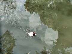 -拙政园