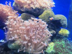 -常州海昌海洋探索馆