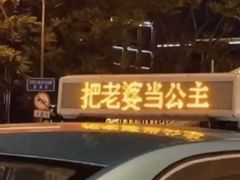 -太二酸菜鱼(天鹅湖万达店)