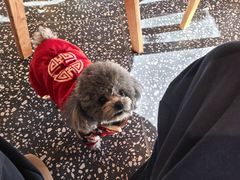 -小意思咖啡店(草桥店)