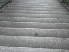 -仙岳公园