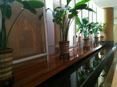 -上海浦东假日酒店