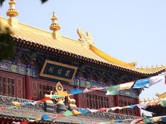 -西安市广仁寺