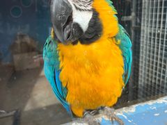 -北京野生动物园