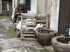 -鸣鹤古镇