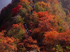 -秦岭风景区