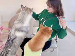 -怪兽屋·羊驼·猫咖·狗咖(俊华广场店)