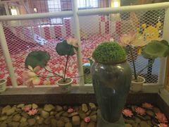 -菲拉拉漫温泉(东环路店)