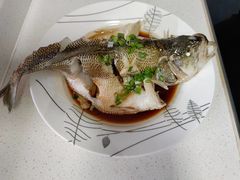 -葱妈母婴医护月嫂中心(浦东店)
