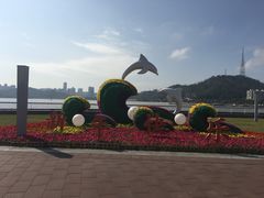 -野狸岛