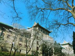 -武汉大学-樱园