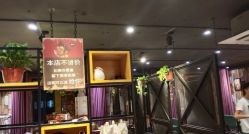 点击看大图 -藤野造型