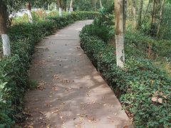 -南京老山国家森林公园