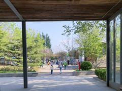 -大望京公园