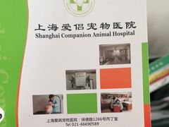 -爱侣宠医·鹦鹉专科·小型哺乳类·异宠专科(灵石路店)