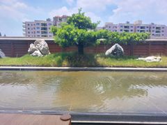 -汝是素(汇一城一区店)