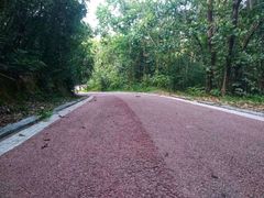 -敬亭山风景名胜区