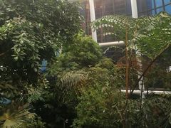 -上海跨国采购会展中心