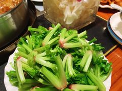 菠菜根-葛记红焖羊肉(人民路店)
