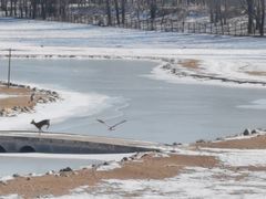 -北京麋鹿生态实验中心