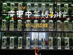 -广东中医药博物馆