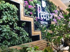 -Peet's Coffee皮爷咖啡(豫园店)
